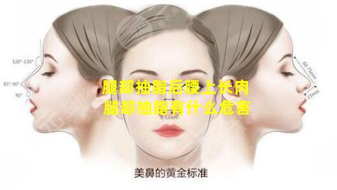 腿部抽脂后腰上长肉 腿部抽脂有什么危害